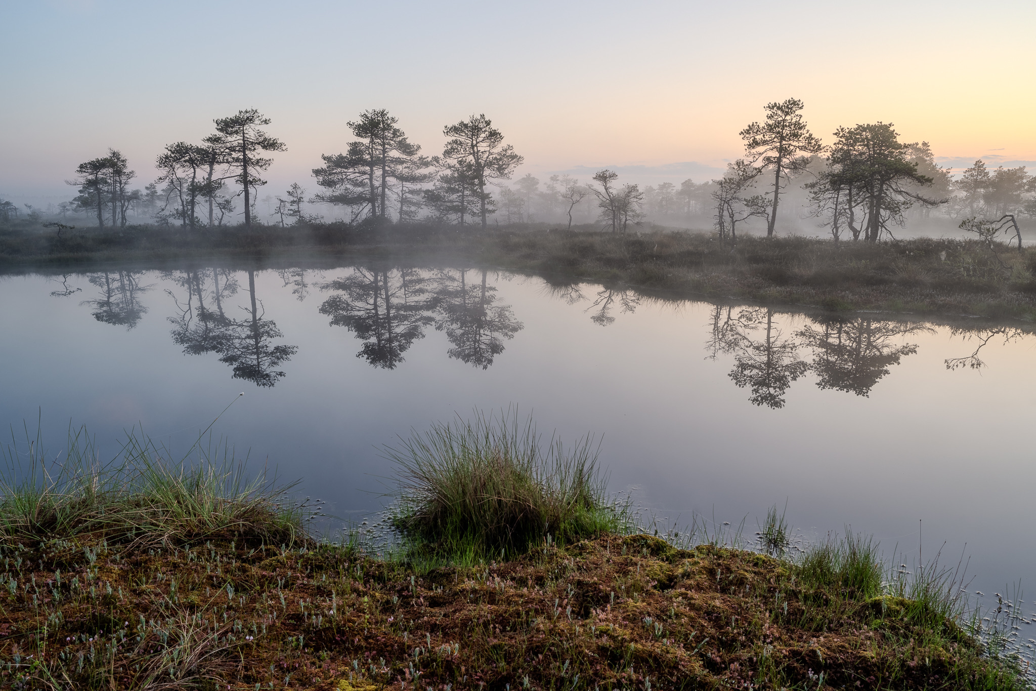 Raba järv hommikuses udus